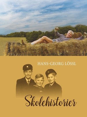 cover image of Skolehistorier